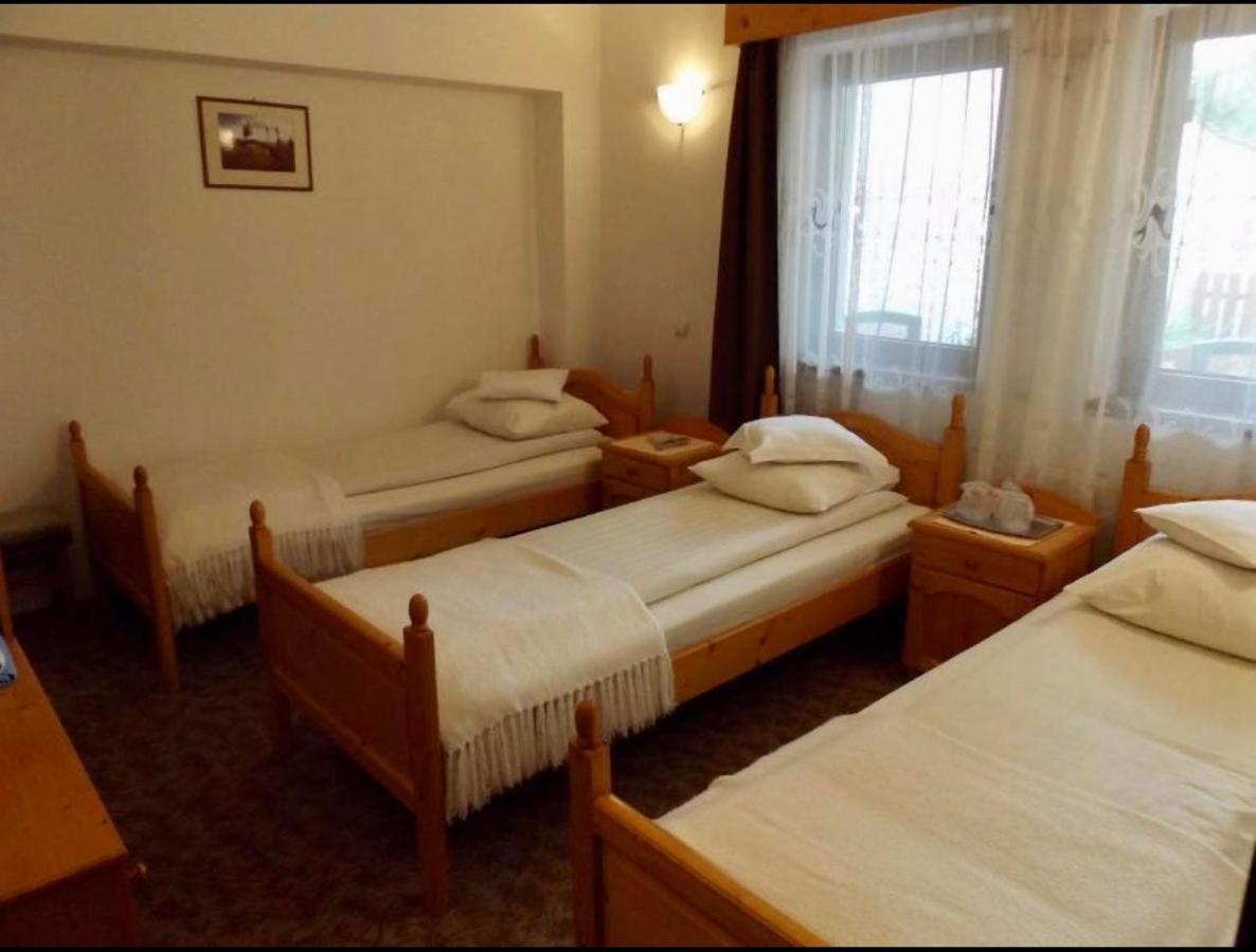 Tulipan Panzio Bed & Breakfast Sfantu Gheorghe  Ngoại thất bức ảnh