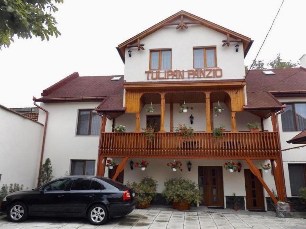 Tulipan Panzio Bed & Breakfast Sfantu Gheorghe  Ngoại thất bức ảnh